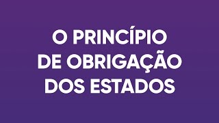 CEDAW Rápida e Concisa o Princípio de Obrigação dos Estados [upl. by Baldwin]