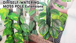 DIY SELFWATERING SPHAGNUM MOSS POLE Extensions  Repot with Me [upl. by Galan]