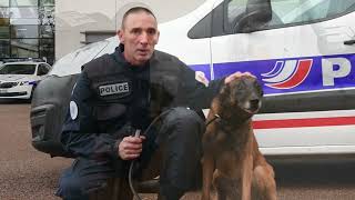 Dans les coulisses de la brigade cynophile de la police nationale à Limoges [upl. by Eniawd244]