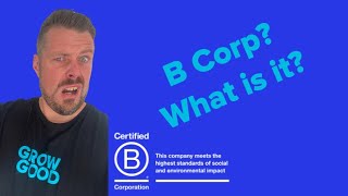 What is B Corp Certification [upl. by Koenig]