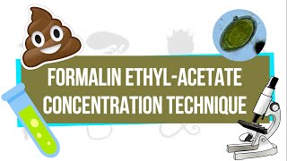 Formalin EthylAcetate Concentration Technique FEACT  UPLB Parasitology Research Laboratory [upl. by Aylad]