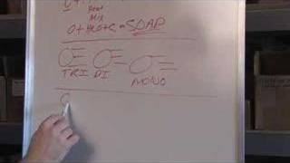 The Chemistry of Biodiesel Part 2 [upl. by Miahc]