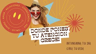 ¡Donde pones tu atención crece [upl. by Zoila]