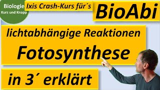 Lichtabhängige Reaktionen der Fotosynthese in 3 Minuten erklärt  Biologie kurz und knapp  BioIxi [upl. by Inatsed]