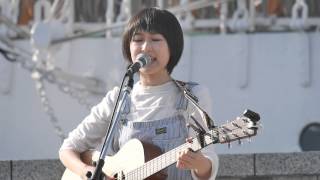 ダンデライオン コアラモード ROCKYARD at 日本丸 Live 20141122 [upl. by Stander]