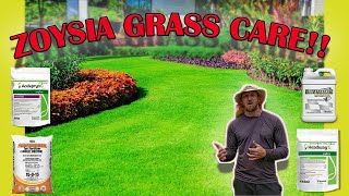 How To Care For Zoysia Grass Full Guide Fertilizer  Mowing  Watering  Pest  Fungus  Weeds [upl. by Rendrag226]