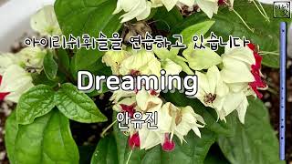 아이리쉬휘슬 연습 Dreamnig 안유진 [upl. by Aletse]