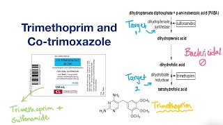 Trimethoprim and Cotrimoxazole  Infectious Disease [upl. by Bashemeth]