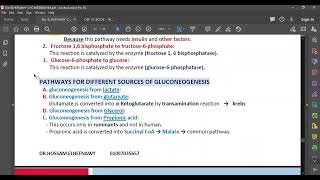 L50 Gluconeogenesis [upl. by Sairu]