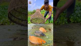 Unbelievable Polo Challenge Fishing Video  shorts shortsfeed funny polo fishing unique [upl. by Ycak]