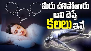 Kalalo Kanipisthe  ఈ కల వస్తే మరో 6 నెలల్లో చనిపోతారు  Darshanam Bhakthi Channel [upl. by Wershba]