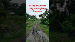 Kapaligiran na sinira ni Kristine shorts satisfying farming asmr [upl. by Ahsiek899]