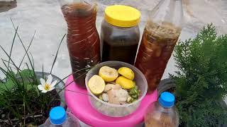 780 Home made BioEnzyme for gardening घरेलू कचरे से Gardening के लिए Enzyme बनाएँ Hindi Urdu 1 [upl. by Tristan]