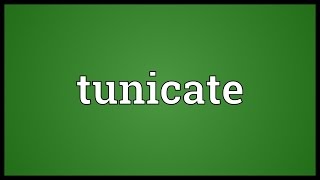 Tunicate Meaning [upl. by Irabaj]