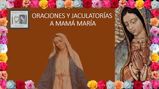 Oraciones y Jaculatorias a la Virgen María [upl. by Market359]