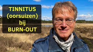 TINNITUS oorsuizingen bij burnout Kom ik er ooit van af [upl. by Aelahs893]