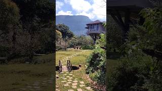 Tree house kanthalloor tree house stay munnar kanthalloor 2024trending 19 February 2024 [upl. by Wellesley]