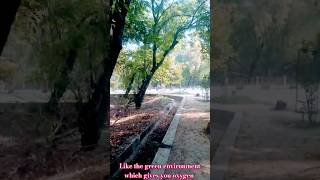 Automatic Oxygen machine for planet motivation india nature shorts nature music [upl. by Cherie]