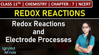 Class 11th Chemistry  Redox Reactions and Electrode Processes  Chapter 7  NCERT [upl. by Rodnas]