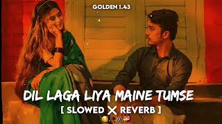 Dil Laga Liya Maine  Slowed Reverb   Dil Hai Tumhaara  Old Is Gold Song  Alka Y Udit N lofi [upl. by Eoj]