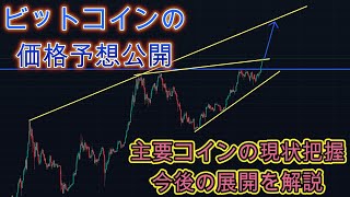 ビットコインの将来価格予想公開！！主要コインの現状と今後の展開解説。暗号資産（仮想通貨）【BTC、ETH、SOL、DOGE、XRP】 [upl. by Ailemor28]