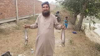 fishing hunting in Darya e Ravi Rive Lahore Live Update darya e ravi fishing aqibfishers [upl. by Ainomar]