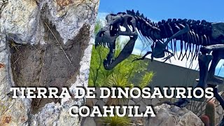 Coahuila Tierra de Dinosaurios En búsqueda de huellas y fósiles en el desierto [upl. by Raquela]