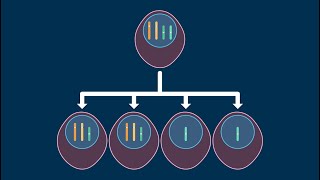 Nondisjunction in Meiosis [upl. by Roderick]