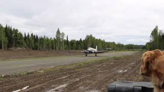 DC3 landing at pvt gold mine near Skwentna AK [upl. by Hospers57]