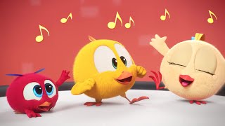 Chicky and friends concert  Wheres Chicky  Cartoon Collection in English for Kids  New episodes [upl. by Nauqan]