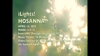 iLights 240414  Hosanna Mark 11 [upl. by Nhor]