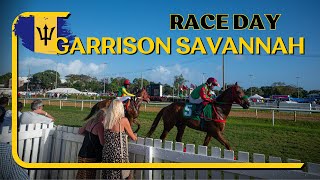 Spend the day at the Races The culture and experiences of the Garrison Savannah [upl. by Yrdnal]