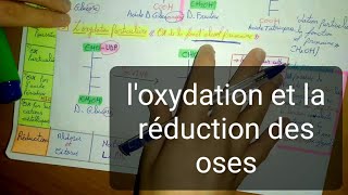 ✅ Biochimie Les Glucides Partie 2 loxydation et la réduction des oses [upl. by Anikal127]