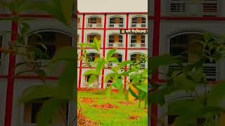 Agricultural University college campus ॥agriculturaluniversity mymensingh college [upl. by Nnylacissej793]