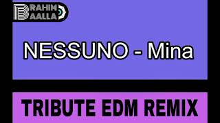 Nessuno  Mina Tribute EDM remix [upl. by Forward]