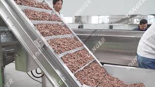 How Cocoa Powder is Made in Factory Cocoa Powder Manufacturing Process [upl. by Sundberg]