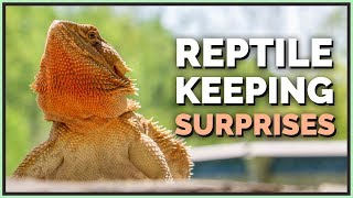 5 Things I Didnt Expect while Keeping Reptiles [upl. by Htidirem]