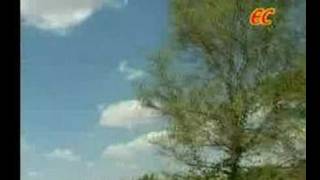 Um Paatham  Tamil Christian Song [upl. by Petracca]