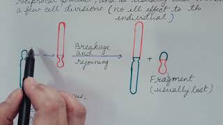 Robertsonian Translocation Genetics [upl. by Penelopa]