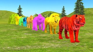 Long Slide Game With Elephant Gorilla Buffalo Hippopotamus Tiger  3d Animal Game  Funny 3d Animals [upl. by Aulea503]