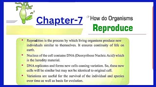 How do organisms reproduce Class 10 Biology support materialbased on latest syllabus 202324 [upl. by Nurat187]