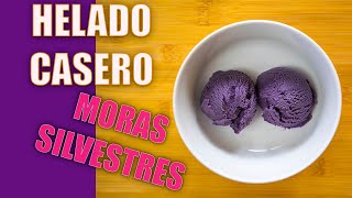 ▷ HELADO CASERO de MORAS SILVESTRES  Haztuheladocom [upl. by Itnava]