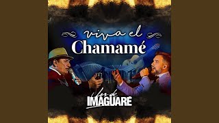 Viva el chamamé quotEl Toroquot [upl. by Nrubua]