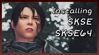 Skyrim LESE  How to Install SKSE  SKE64 [upl. by Suisyola]