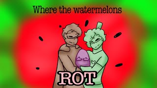 Where the watermelon rot QSMP Animatic [upl. by Ahab990]