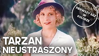 Tarzan Nieustraszony  Film przygodowy [upl. by Rebel]