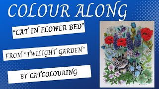 TWILIGHT GARDEN COLOUR ALONG quotCat in Flower Bedquot  Adult Colouring coloring mariatrolle colouring [upl. by Erleena364]