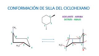 Conformaciones de silla representaciones [upl. by Fabrianna828]