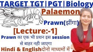 UP TGTPGT BiologyPalaemon PrawnLT GradeGIC biologyMost important session [upl. by Latihs]