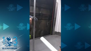 Captan en video cuando tren de Línea 9 del Metro avanza con puertas abiertas [upl. by Browning383]